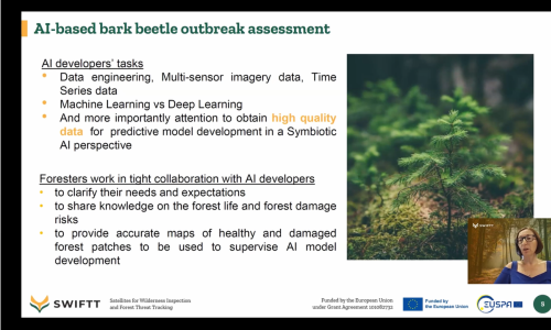 Webinar - Leveraging AI Models for Insect Damage Detection in European Forests