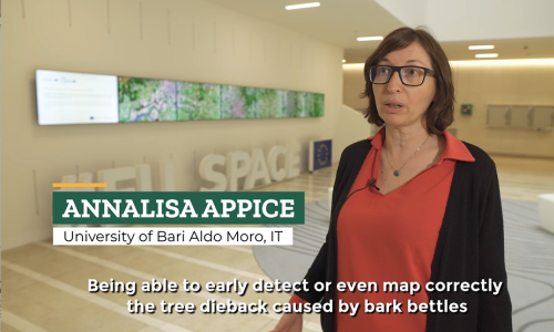 SWIFTT Interview: Annalisa Appice