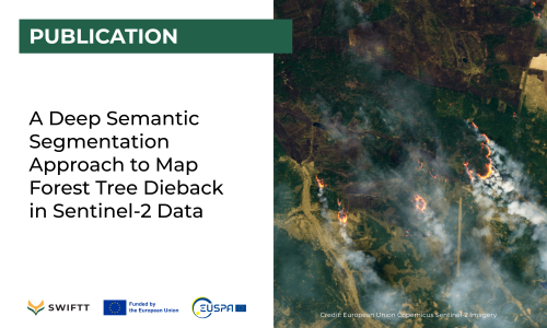 Publication: A Deep Semantic Segmentation Approach to Map Forest Tree Dieback in Sentinel-2 Data 