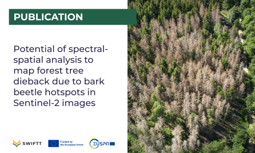 Publication: Potential of spectral-spatial analysis to map forest tree dieback due to bark beetle hotspots in Sentinel-2 images
