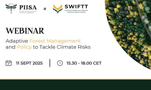 Webinar - Adaptive Forest Management and Policy to Tackle Climate Risks