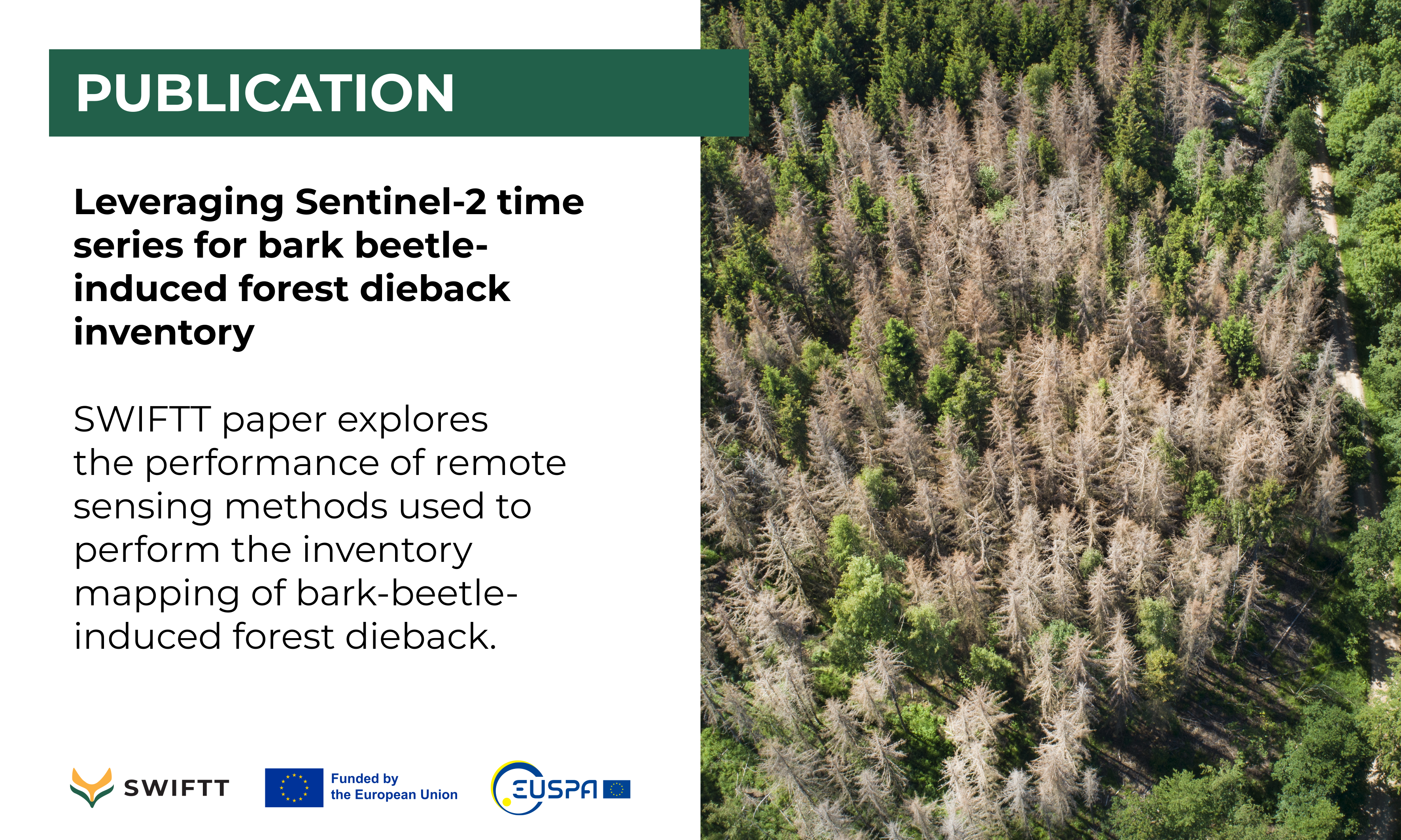 Publication: Leveraging Sentinel-2 time series for bark beetle-induced forest dieback inventory 