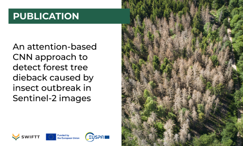 Publication: An attention-based CNN approach to detect forest tree dieback caused by insect outbreak in Sentinel-2 images 