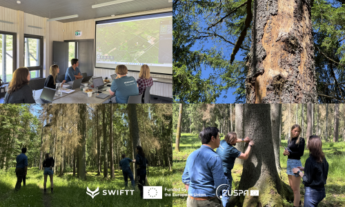 Project partners meet in Riga to present SWIFTT’s current version to Rīgas Meži foresters